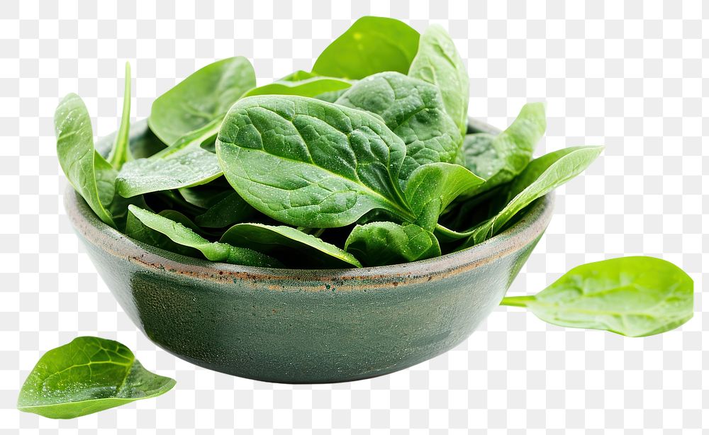 PNG Spinach leaves in a bowl vegetable plant food.