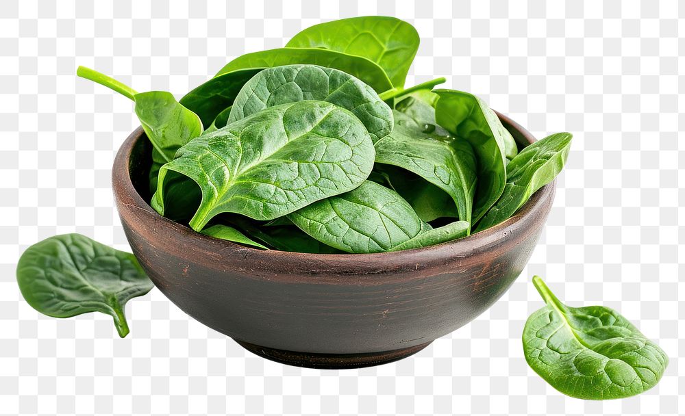 PNG Spinach leaves in a bowl vegetable plant food.