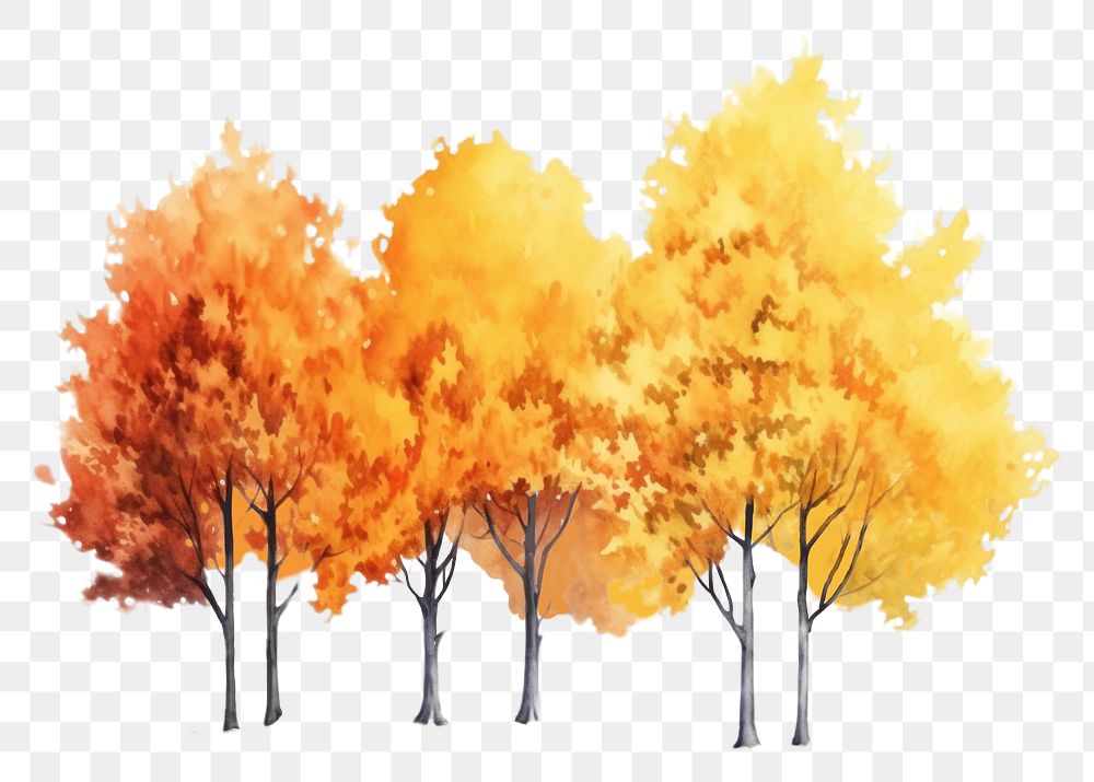 PNG Autumn trees outdoors nature plant. AI generated Image by rawpixel.