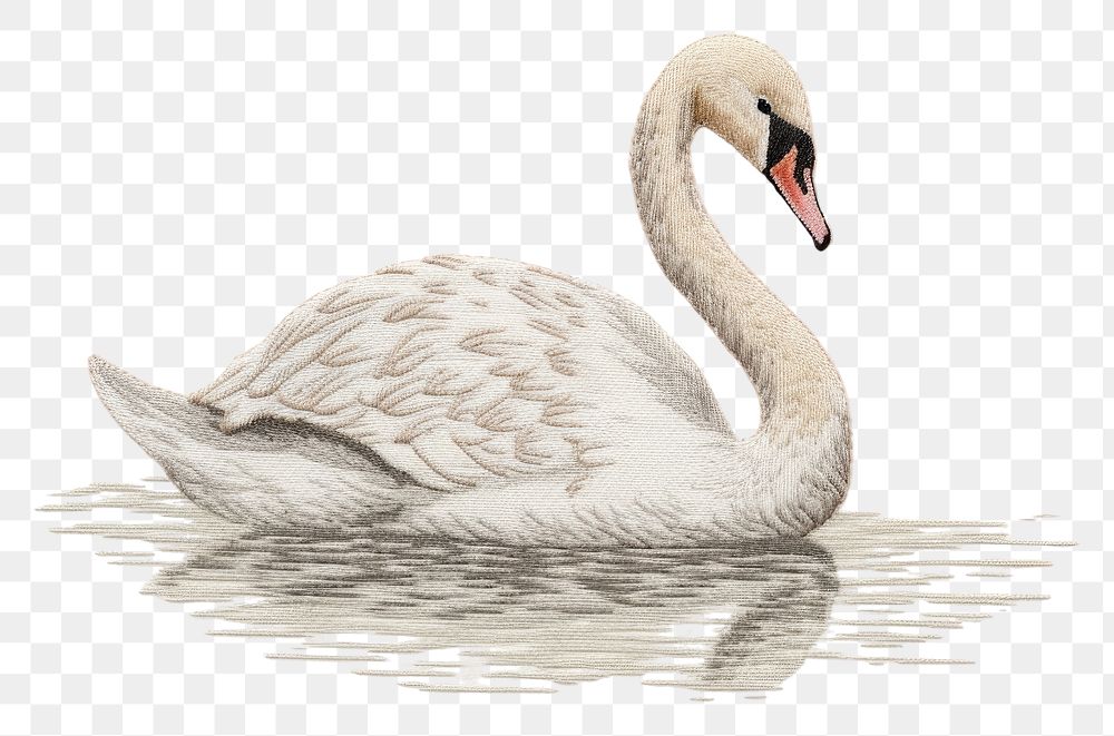 PNG Embroidery of swan animal white bird.