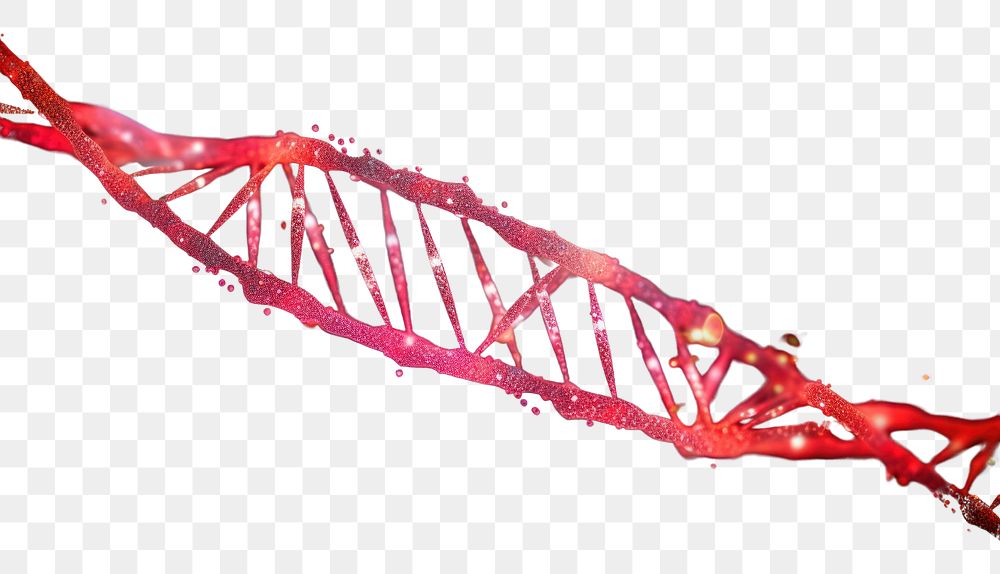PNG  DNA biology light red.