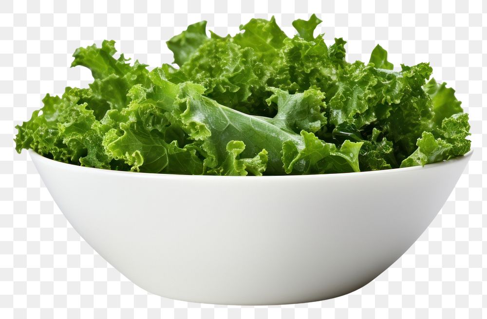 PNG Kale salad vegetable lettuce plant.