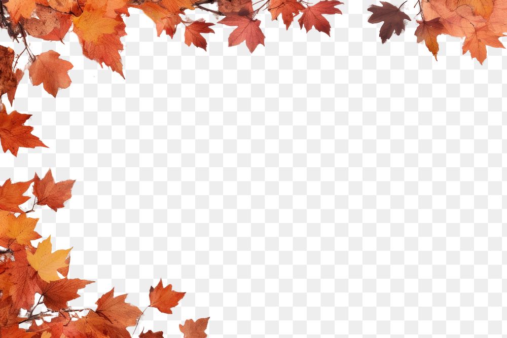 PNG Background frame in autumn backgrounds maple plant. AI generated Image by rawpixel.