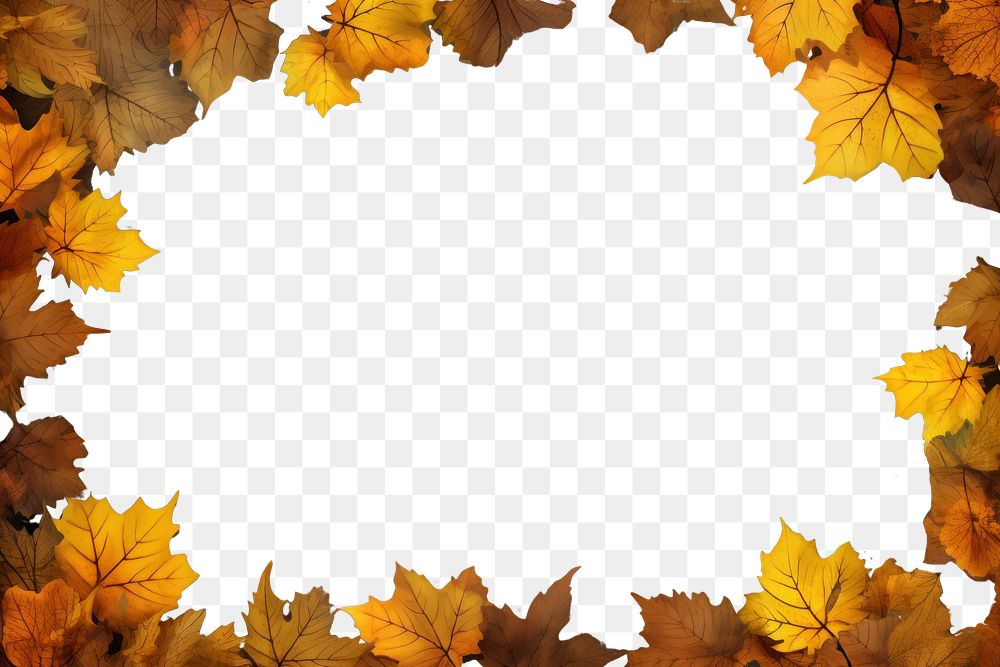 PNG Background frame in autumn backgrounds plant leaf. AI generated Image by rawpixel.