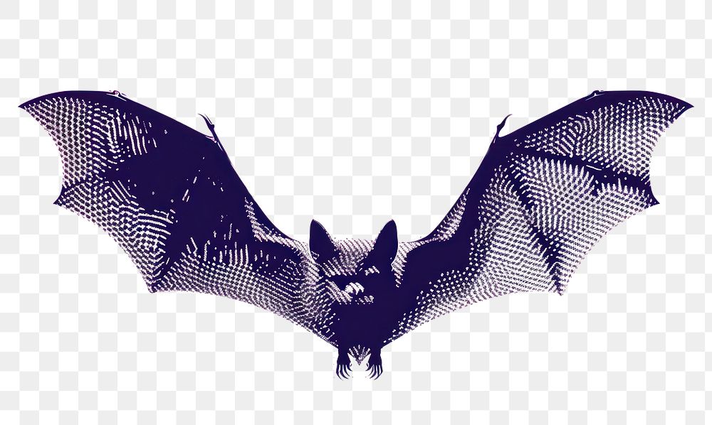 PNG  Bat bat wildlife cartoon.