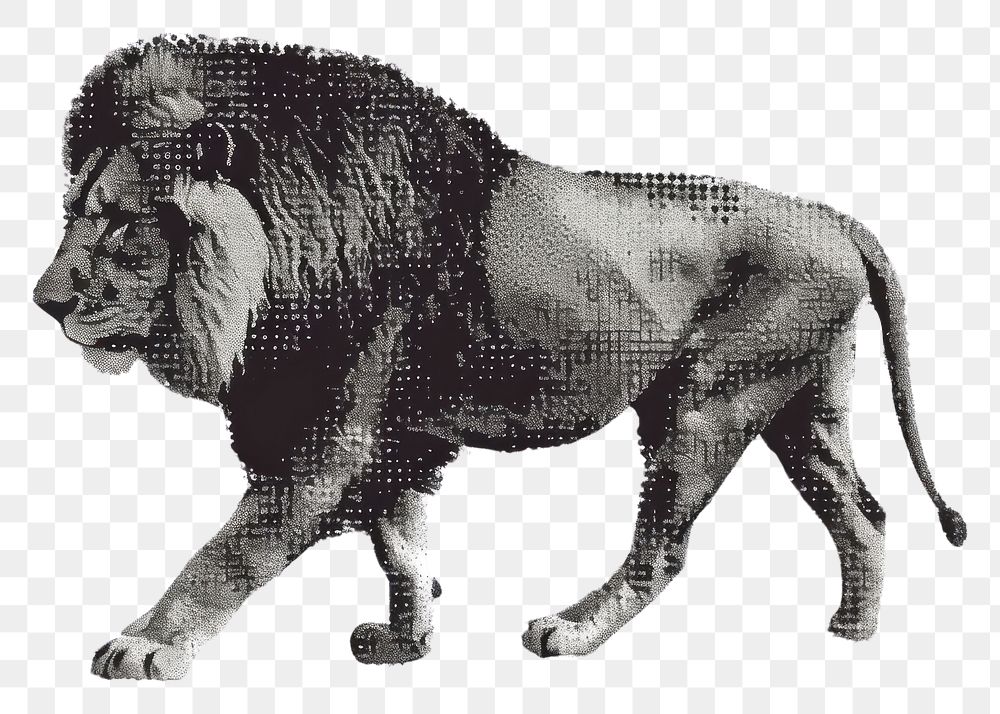 PNG  Lion wildlife cartoon mammal.