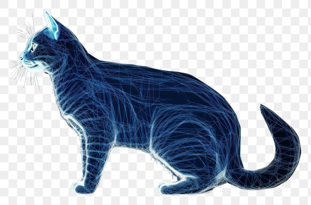 PNG  Cat animal mammal blue.