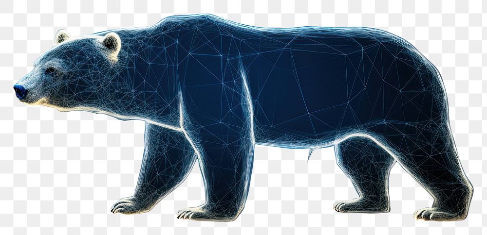 PNG  Bear bear wildlife animal.