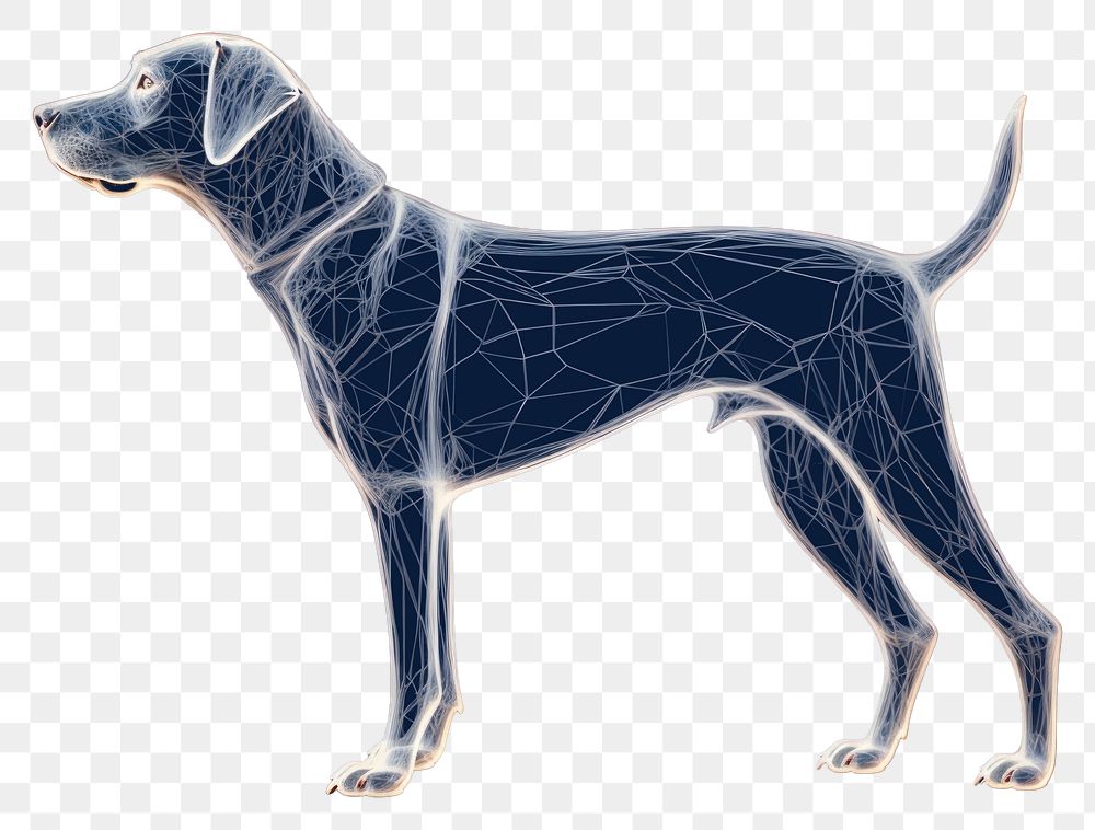 PNG  Dog animal mammal blue.