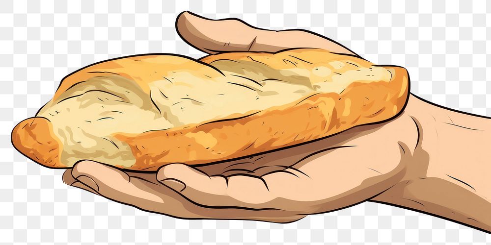 PNG Human hand holding Bread bread cartoon food.