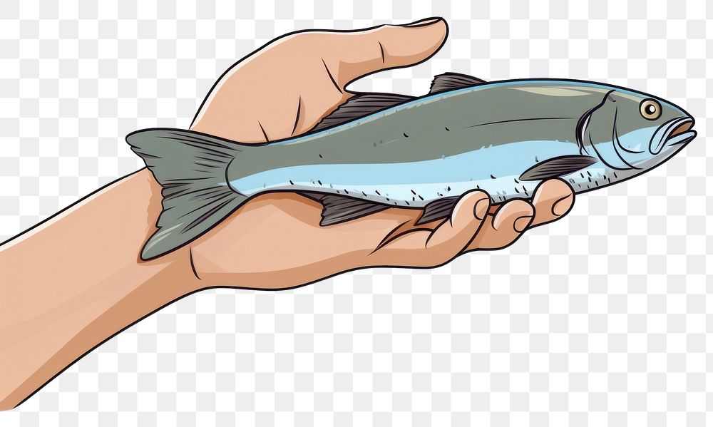 PNG Human hand holding Fish fish cartoon seafood.