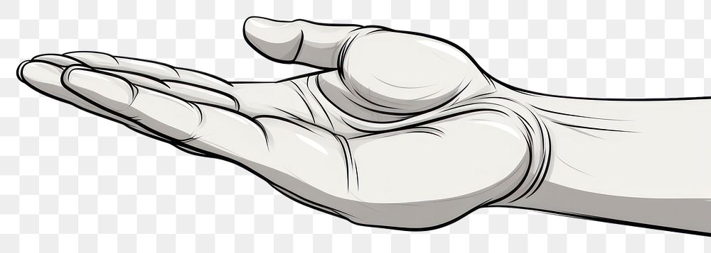 PNG Human hand holding something cartoon drawing finger.