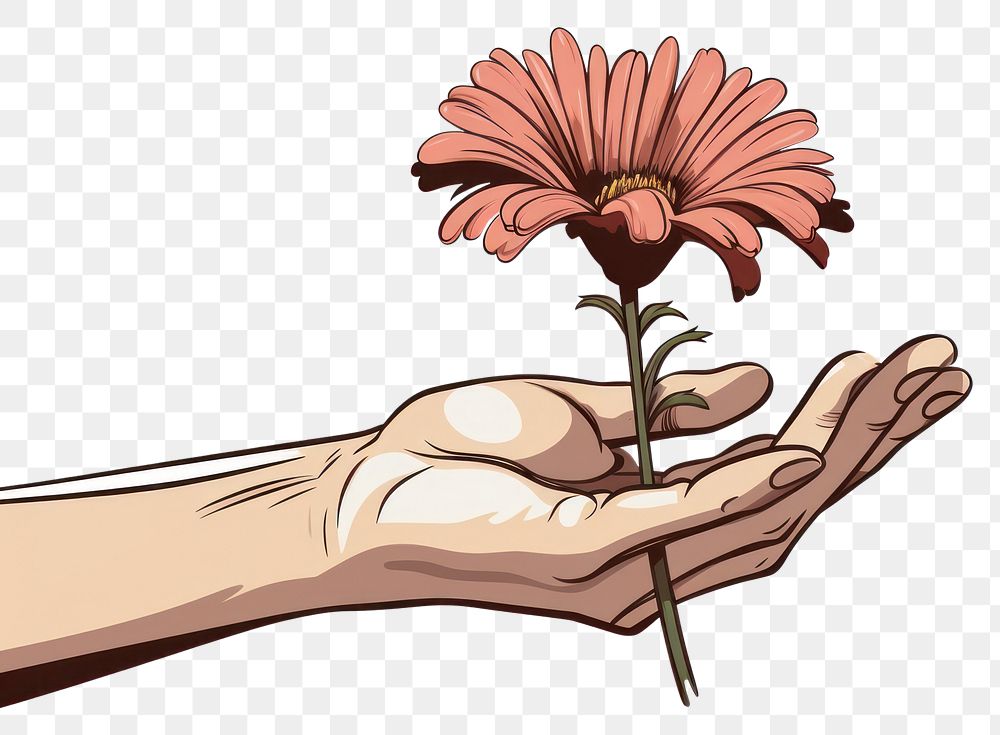 PNG Human hands holding Flower flower drawing finger.