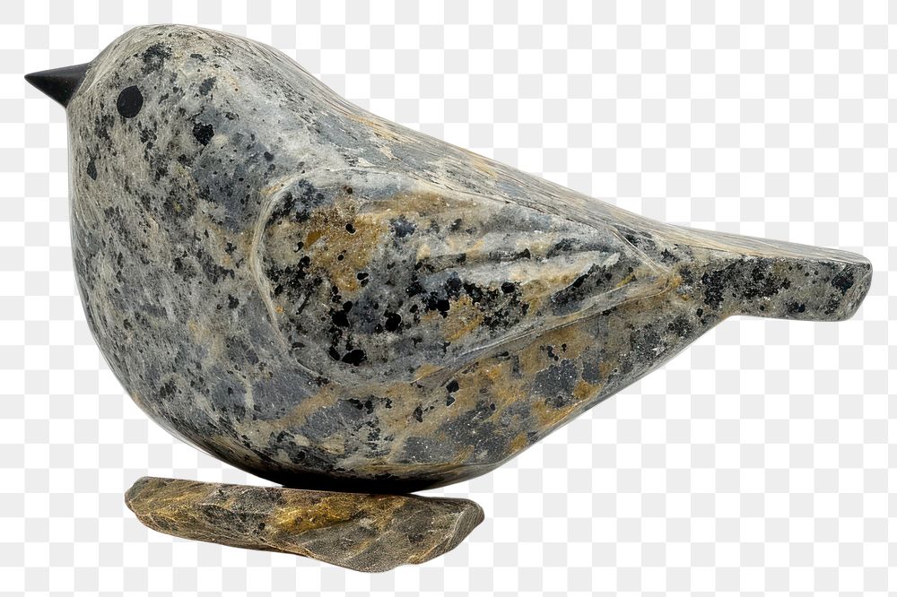 PNG  Rock heavy element Bird shape animal bird white background.