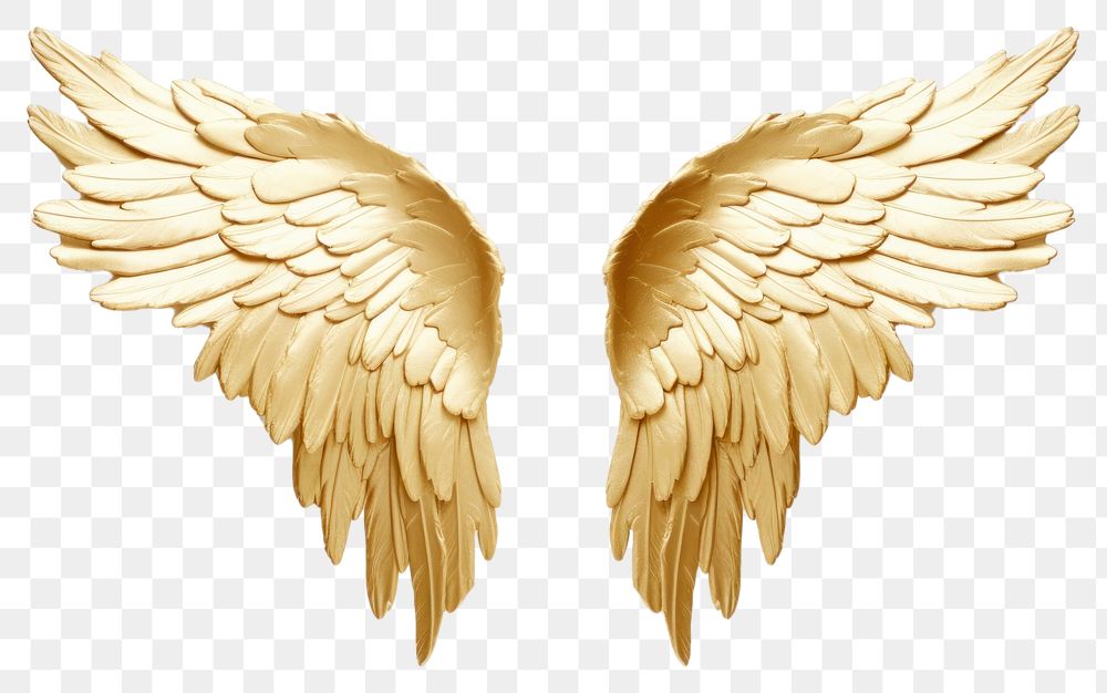PNG  Wings gold angel archangel. 