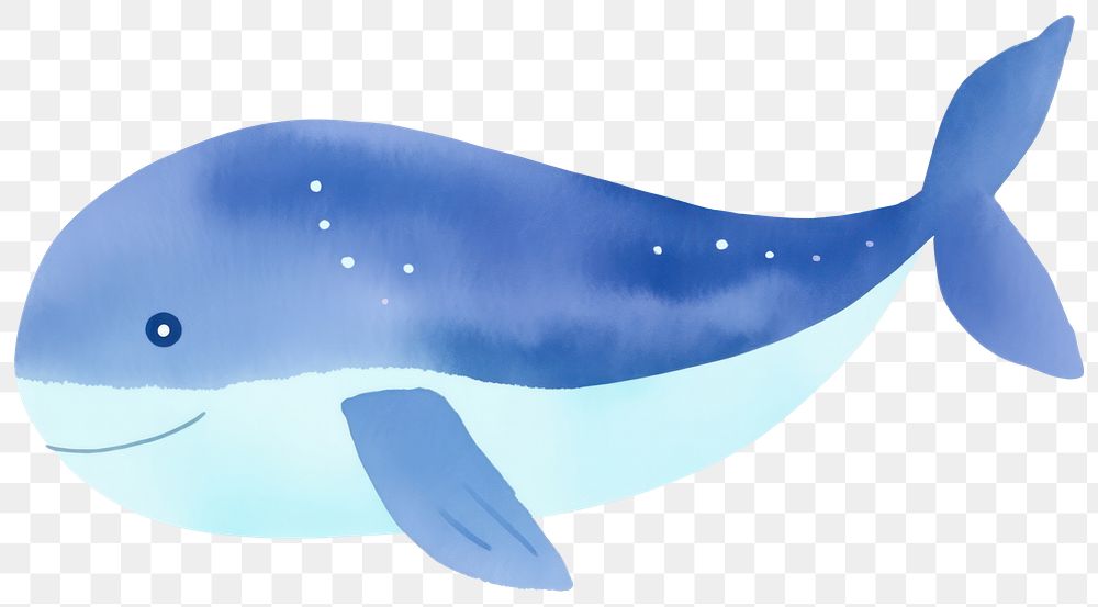 PNG Whale animal mammal fish. AI generated Image by rawpixel.