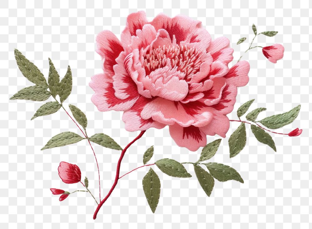 PNG  Cute minimal Peony in embroidery style pattern flower dahlia.