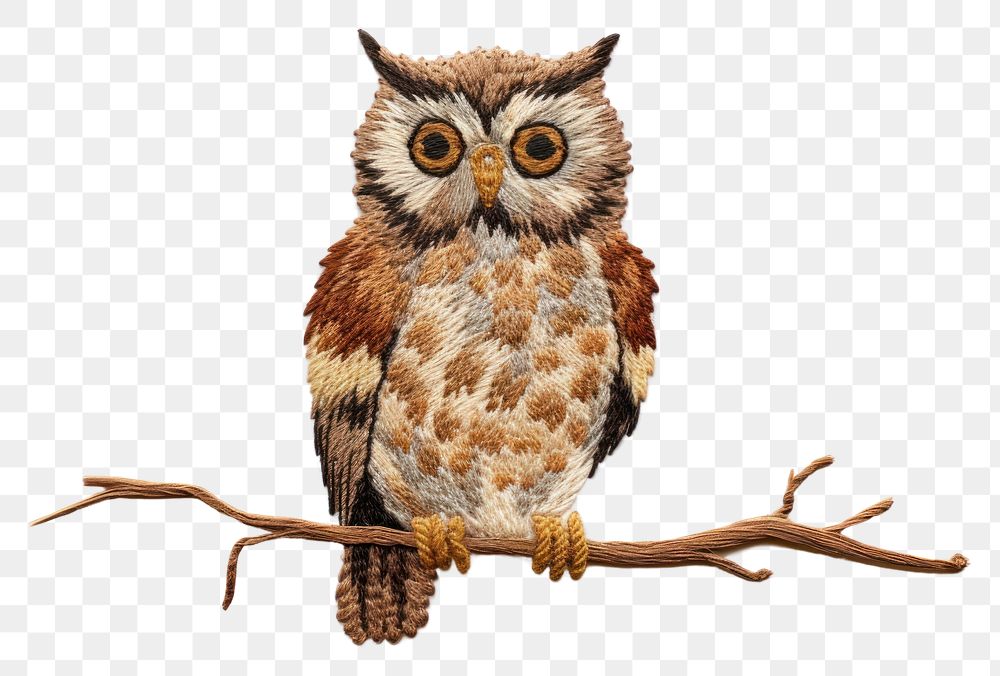 PNG  Cute Owl in embroidery style owl animal bird.