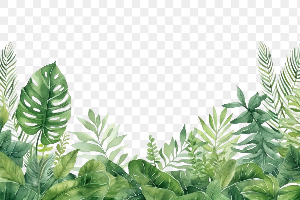 PNG Tropical leaves green fern backgrounds.