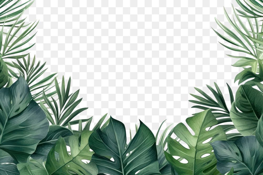 PNG Tropical leaves green backgrounds outdoors.