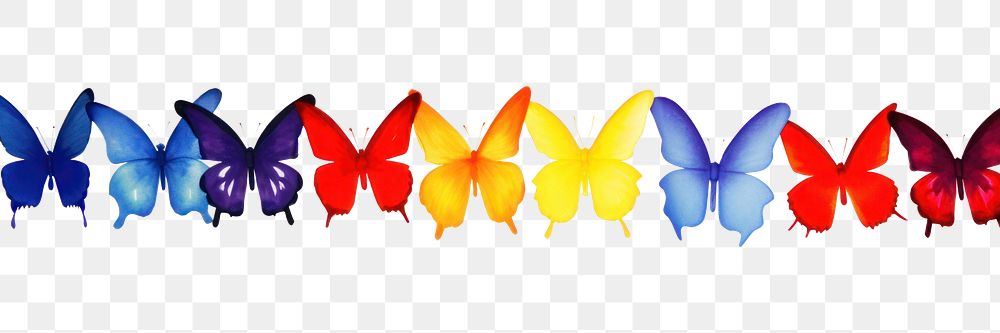 PNG Butterfly border petal white background accessories.