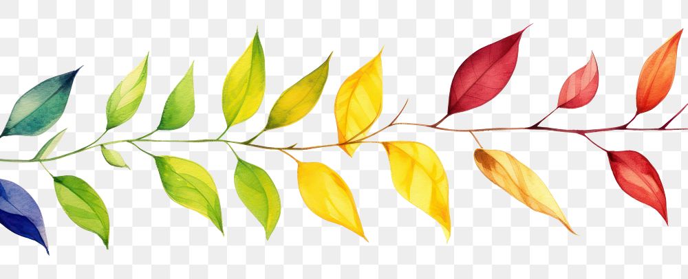 PNG Leaves border pattern plant leaf.
