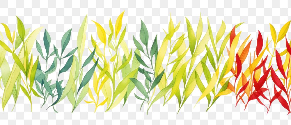 PNG Tea leaves border backgrounds pattern plant.