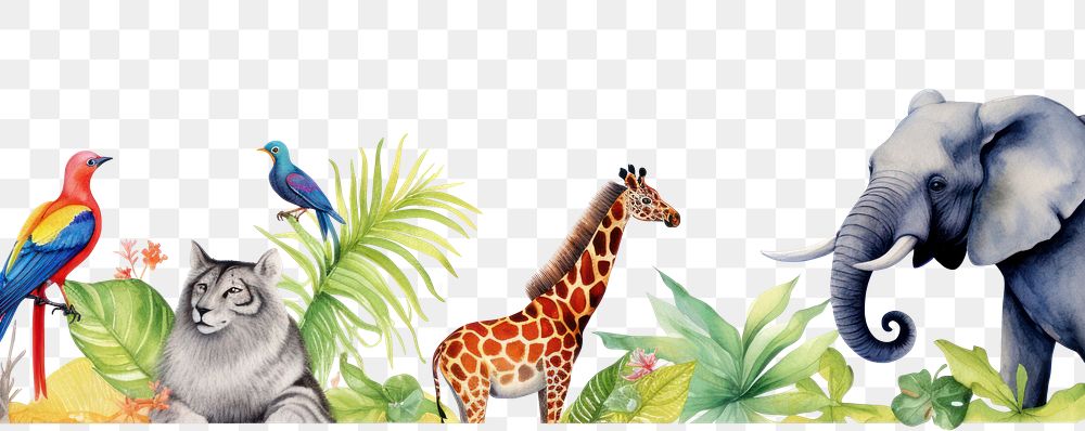 PNG Tropical animals border wildlife giraffe mammal.