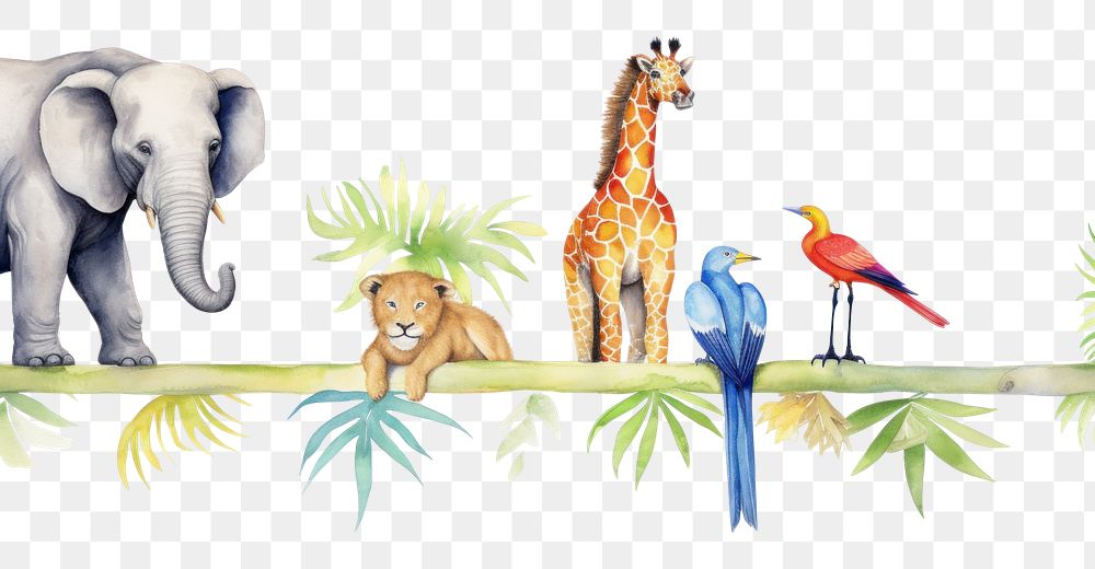 PNG Tropical animals border wildlife giraffe mammal.