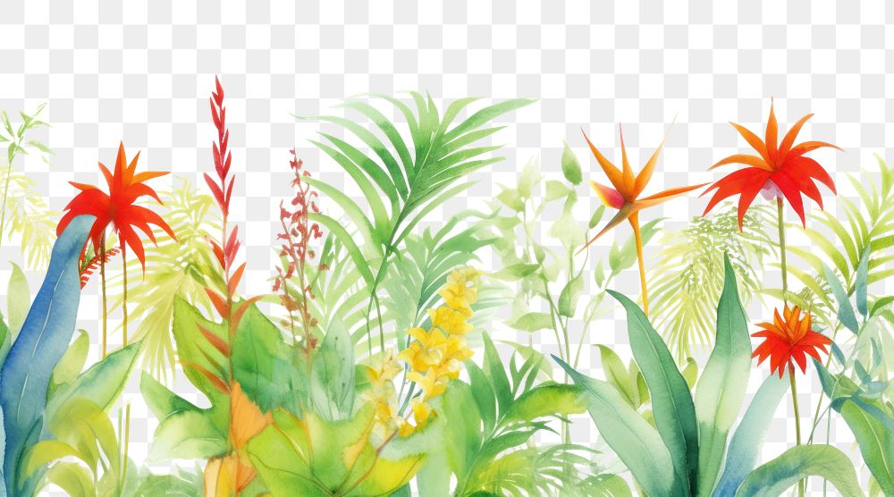 PNG Tropical border backgrounds outdoors pattern.