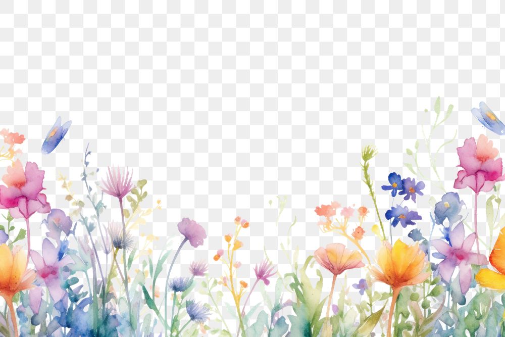 PNG Spring flower border backgrounds outdoors pattern.