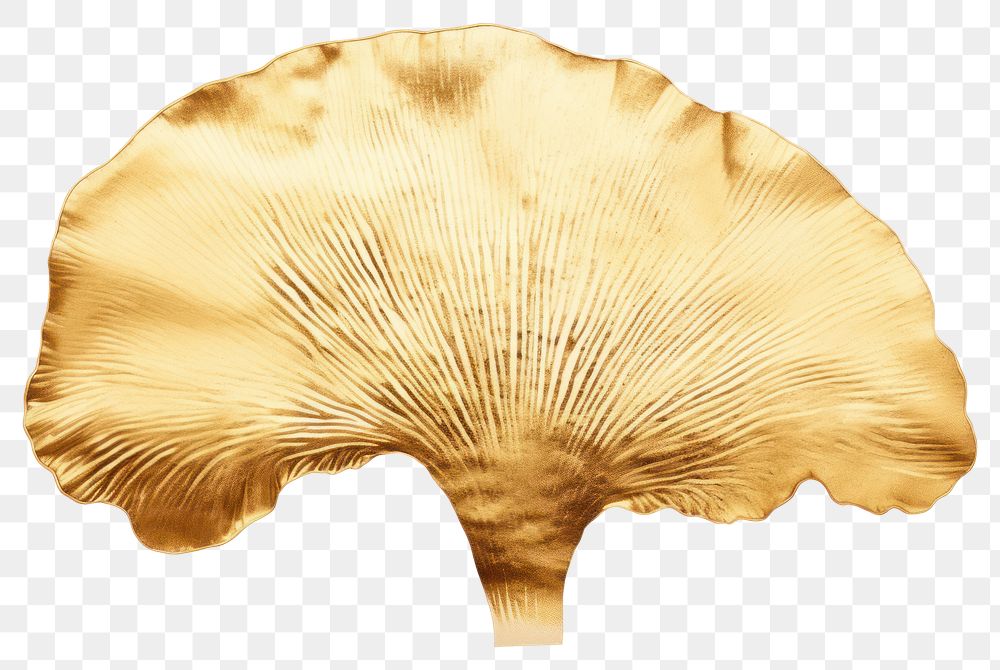 PNG  Mushroom fungus pattern amanita. AI generated Image by rawpixel.