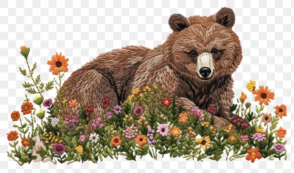 PNG  A Bear flower bear wildlife.