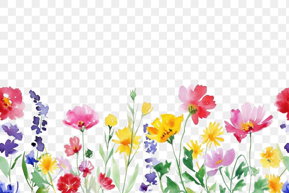 PNG  Flower backgrounds outdoors blossom.