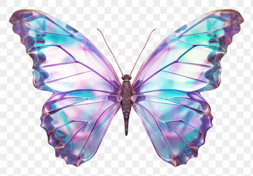 PNG  Butterfly iridescent animal insect white background.