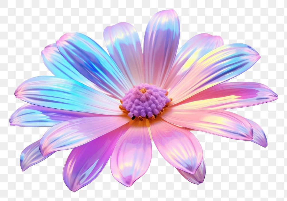 PNG  Daisy iridescent flower petal plant.