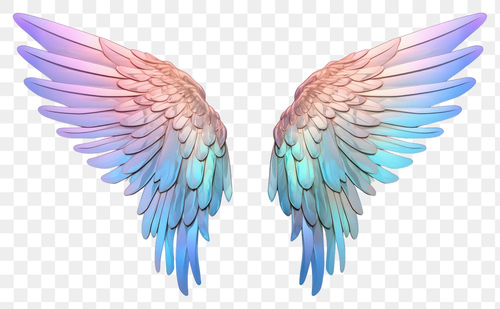PNG Wings iridescent flying bird white background.