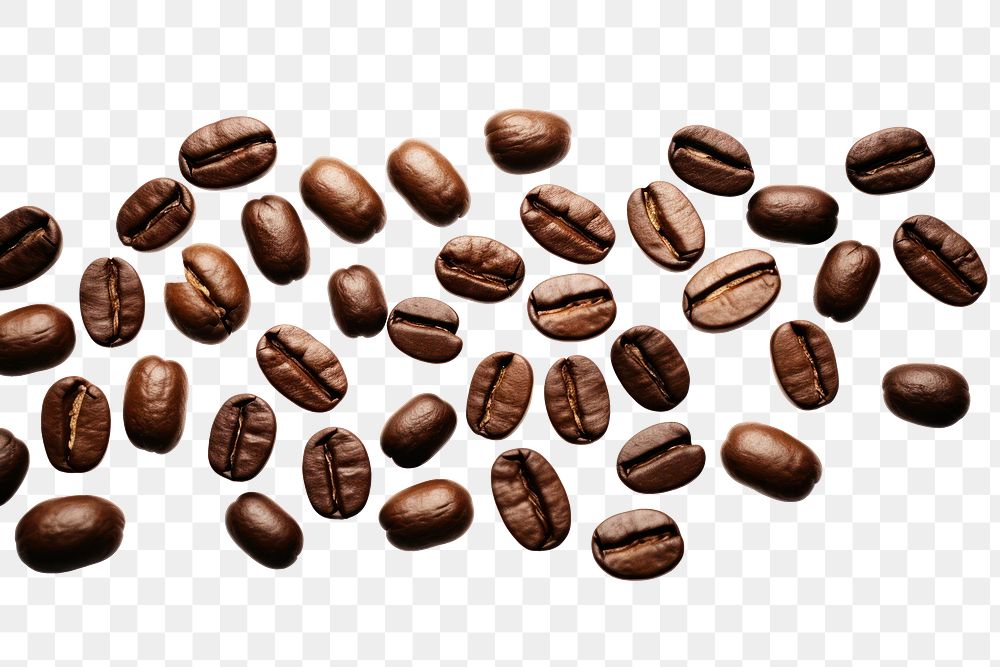 PNG  Coffee beans symbol backgrounds white background chocolate.