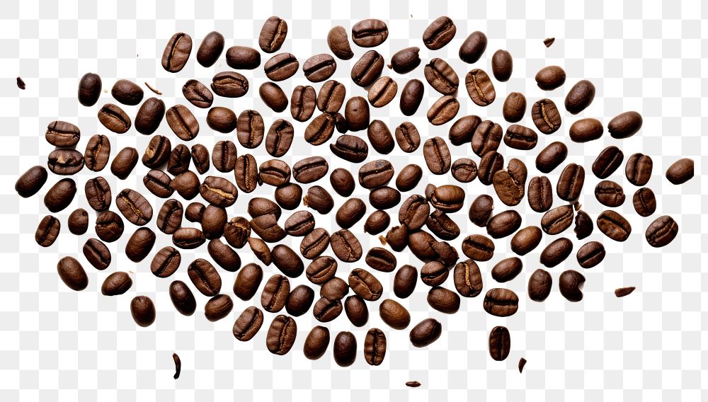 PNG  Coffee beans symbol backgrounds white background freshness.