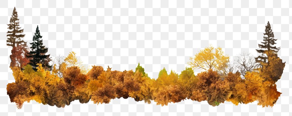 PNG A layer of autumn forest landscape nature backgrounds. AI generated Image by rawpixel.