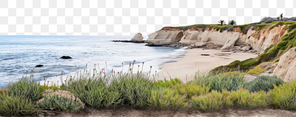 PNG Landscape nature beach outdoors. AI generated Image by rawpixel.