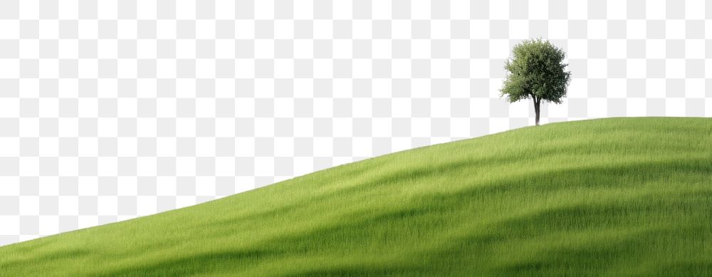 PNG Hilly grass field with a cypress tree landscape nature backgrounds. AI generated Image by rawpixel.