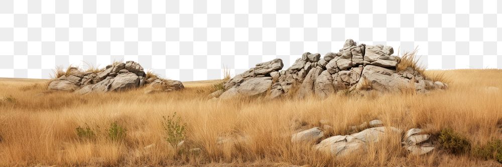 PNG Rocky hilly dry grass fields landscape nature grassland. AI generated Image by rawpixel.