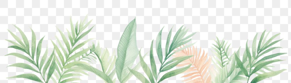 PNG  Tropical divider watercolour illustration backgrounds pattern nature.
