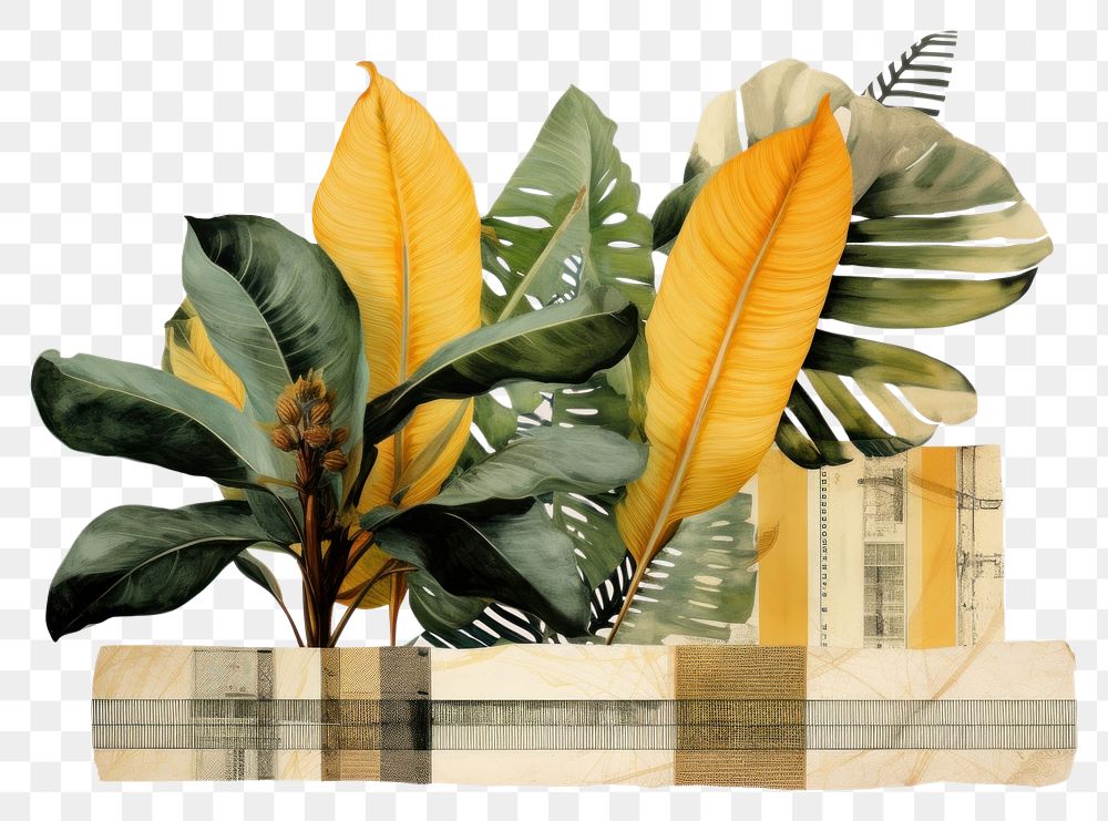 PNG Tropical leaf plant art floristry. AI generated Image by rawpixel.