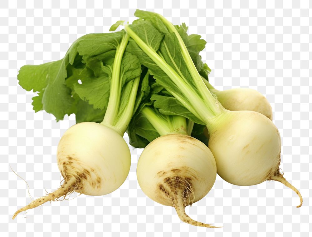 PNG Green turnips vegetable plant food. AI generated Image by rawpixel.