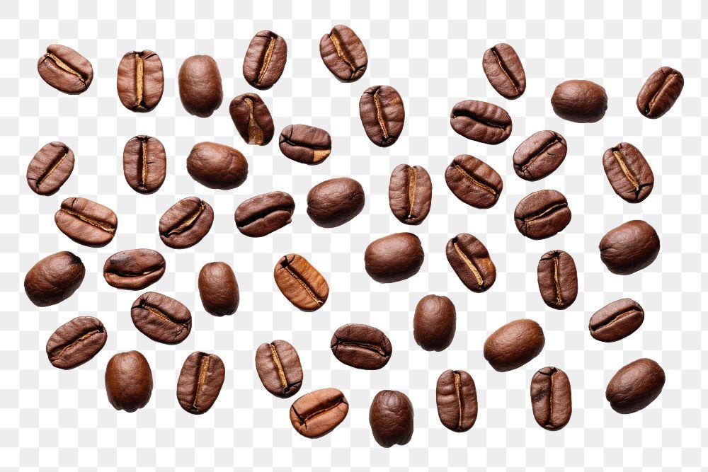 PNG Coffee beans backgrounds food white background. 