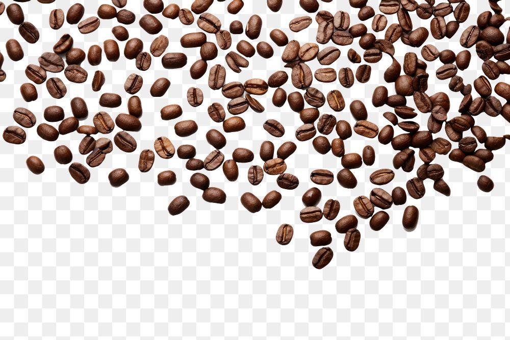 PNG Coffee beans backgrounds white background ingredient. 