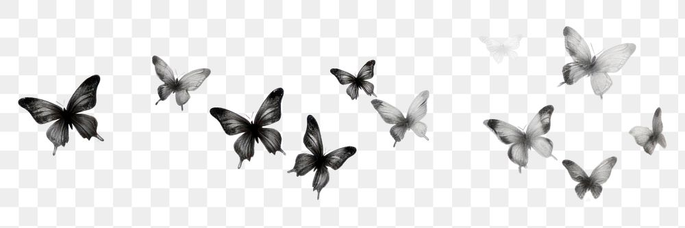 PNG Ink butterflies flying animal flock. AI generated Image by rawpixel.