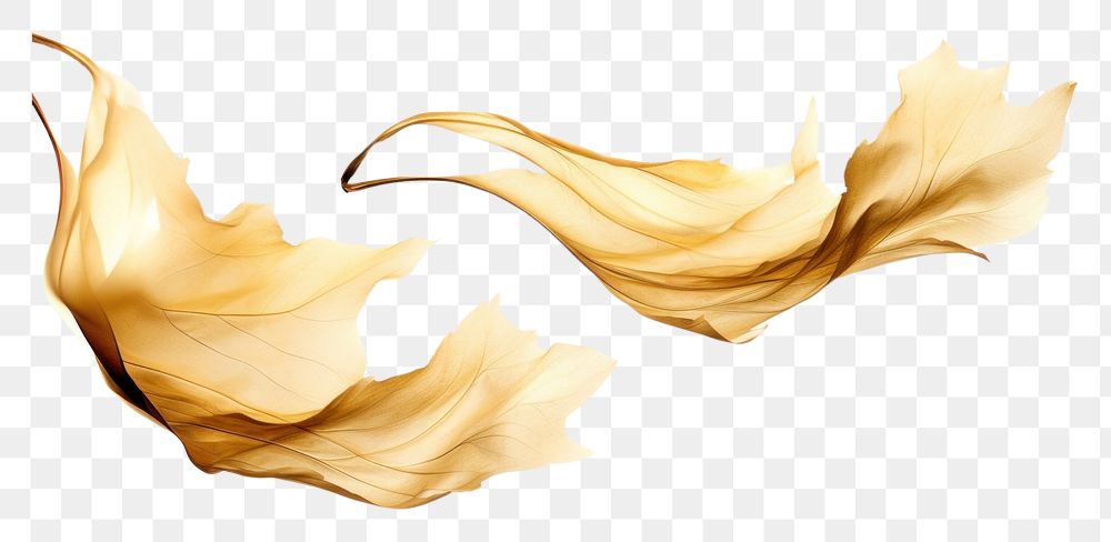 PNG Ink gold leaves white background creativity abstract. AI generated Image by rawpixel.